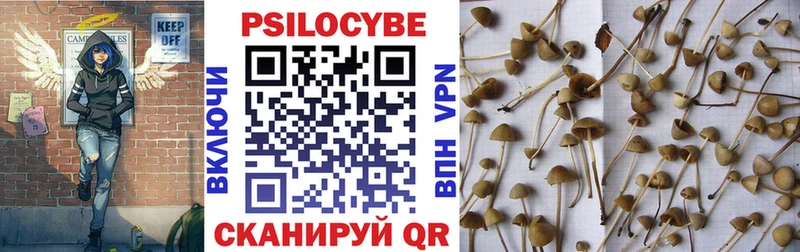 что такое наркотик  Тула  нарко площадка как зайти  Псилоцибиновые грибы Magic Shrooms 