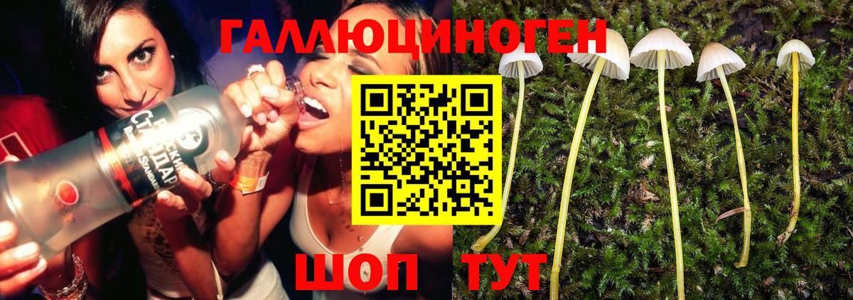 Псилоцибиновые грибы мицелий  Галлюциногенные грибы ЛСД  где найти наркотики  Тула  Вход с VPN 